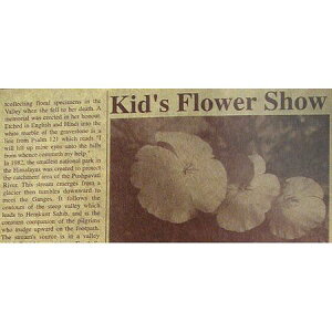 pEL|02@uE@76CM×54CM@Ntg50G^1/117-72410-0y01z bsOpi A bsOy[p[() pV