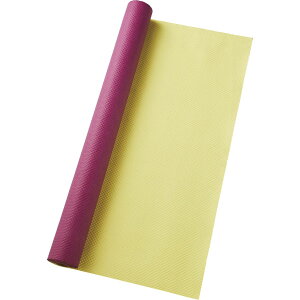 teshiopaper/SIBORI ~F/RF/854-16281y01z bsOpi A bsOy[p[() aEN[v