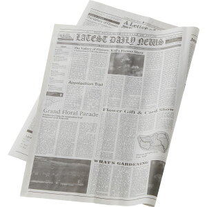 H|/pV100C/160-7015-0y01z bsOpi A bsOy[p[() pV