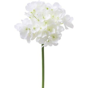 yԁzVE|6827 nChWV WH/65-682747-0y01z ԁiA[eBtBVt[j  ԍށusv izԁj