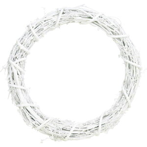 SG Wonder zone/607�|002W �Ђ��Â郊�[ 25cm/132-607002-23�y01�z[5��] �Ԋ�A���[�X ���[�X�y��(�x�[�X) ��(�V�R�f��)���[�X ���[�X�y�� �V�R�f�� �� �� �c�� �q�Q�� ���^�� �� �A�P�r �� �i�`����