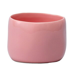 Aؔ  ~[~/|JEsNL/CQ-043LPiy01z K[fjOE|pi t[|bg EZ~bN