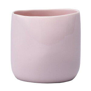 yΖӃZ[zAؔ  ~[~/|JnCsNL/CQ-042LLPy01z[4] K[fjOE|pi t[|bg EZ~bN