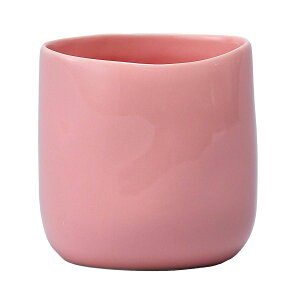 Aؔ  ~[~/|JnCsNS/CQ-042SPiy01z[6] K[fjOE|pi t[|bg EZ~bN