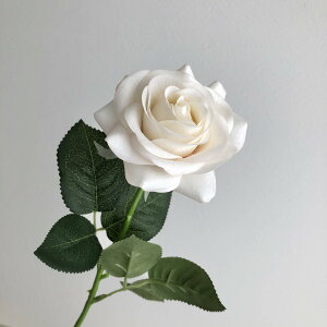 yԁzAXJ/[Y zCgsN(i`H)/A-35164-1Py01z ԁiA[eBtBVt[j  ԍށu͍sv o