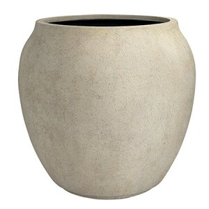 Aؔ O[|bg/m W[ AeB[NzCg 36cm/EB-RJ3635AWy07z K[fjOE|pi t[|bg OXt@Co[