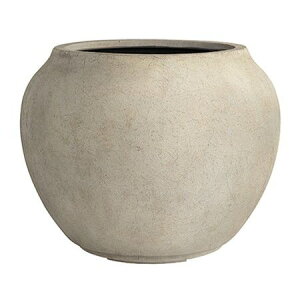 Aؔ O[|bg/m V[W[ AeB[NzCg 44cm/EB-RS4435AWy07z K[fjOE|pi t[|bg OXt@Co[