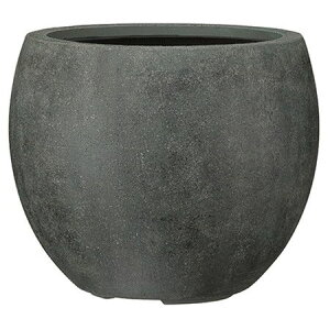 Aؔ O[|bg/oh[ {[ Jbp[O[ 42cm/EB-BB4235CGy07z K[fjOE|pi t[|bg OXt@Co[