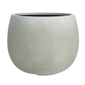 Aؔ O[|bg/ejAX [o[ AeB[NzCg 42cm/EB-TL4234AWy07z K[fjOE|pi t[|bg OXt@Co[