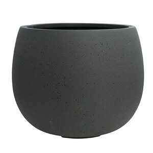 Aؔ O[|bg/ejAX [o[ AeB[NuE 55cm/EB-TL5545ABy07z K[fjOE|pi t[|bg OXt@Co[