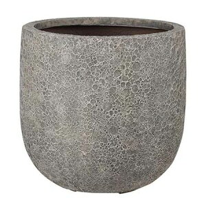 Aؔ O[|bg/@Cg U|bg O[ 32cm/EB-VL3232GYy07z K[fjOE|pi t[|bg OXt@Co[