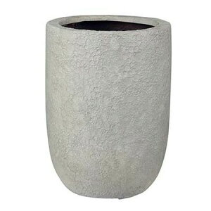 Aؔ O[|bg/@Cg g[Eh N[ 32cm/EB-VL3245CRy07z K[fjOE|pi t[|bg OXt@Co[