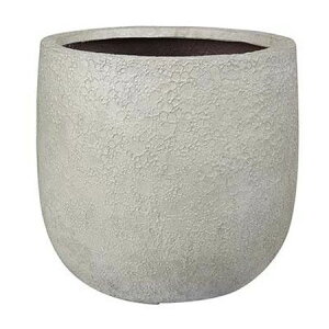 Aؔ  yzO[|bg/@Cg U|bg N[ 55cm/EB-VL5555CRԕiEELZsy07z K[fjOE|pi t[|bg OXt@Co[