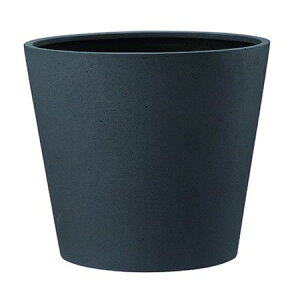 O[|bg/|bV RjbN `R[ 50cm/AN-PC5040CHy07z K[fjOE|pi AؔEt[|bg Jo[