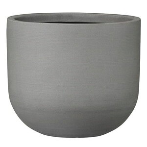 O[|bg/IveB}X U|bg Zg 42cm/AN-PU4237CEy07z K[fjOE|pi AؔEt[|bg OXt@Co[
