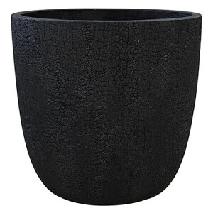 O[|bg/o[Ebh Eh ubN 40cm/GA-2843BKy07z K[fjOE|pi AؔEt[|bg Zg