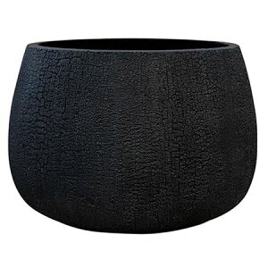 yΖӃZ[zAؔ  O[|bg/o[Ebh V[ ubN 32cm/GA-2932BKy07z K[fjOE|pi t[|bg Zg