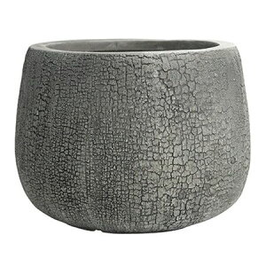 yΖӃZ[zAؔ  O[|bg/o[Ebh V[ O[ 32cm/GA-2932GYy07z K[fjOE|pi t[|bg Zg