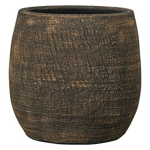�O���[���|�b�g/�W���� �o���[�� �I�����W 32cm/RS-JB3232OR�y08�z �K�[�f�j���O�E���|�p�i �A�ؔ��E�t�����[�|�b�g �e���R�b�^(�f�Ă�) �� �O�b�Y ���� �ƒ�؉� �ϗt�A�� ������� ���킢�� �n