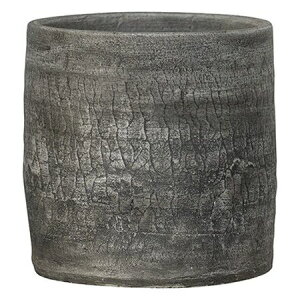 Aؔ O[|bg/W V_[ zCg 38cm/RS-JC3840WHy08z K[fjOE|pi t[|bg eRb^(fĂ)