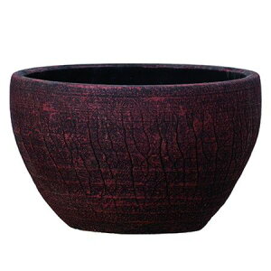 Aؔ O[|bg/W V[ bh 22cm/RS-JS2214RDy08z K[fjOE|pi t[|bg eRb^(fĂ)