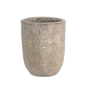 Aؔ  O[|bg/{J[m g[Eh N[ 33cm/EB-VO3341CRy07z K[fjOE|pi t[|bg EZ~bN