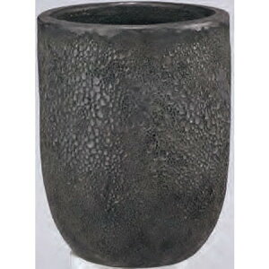 Aؔ  O[|bg/{J[m g[Eh FubN 43cm/EB-VO4354BKy07z K[fjOE|pi t[|bg EZ~bN