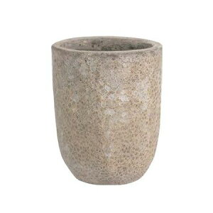 Aؔ  O[|bg/{J[m g[Eh N[ 43cm/EB-VO4354CRy07z K[fjOE|pi t[|bg EZ~bN