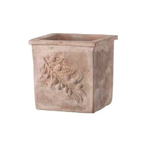 Aؔ  O[|bg/I[u XNGA[ AeBR 37cm/EB-34278137GIy08z K[fjOE|pi t[|bg eRb^(fĂ)