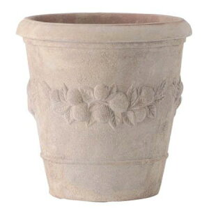 Aؔ O[|bg/eK AeBR 45cm/EB-14249545GIy08z K[fjOE|pi t[|bg eRb^(fĂ)