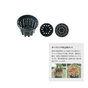 Aؔ  yzO[|bg/i[Z[|bg GR[ 60cm/PQ-ER60ԕiEELZsy08z[5] K[fjOE|pi t[|bg vX`bN