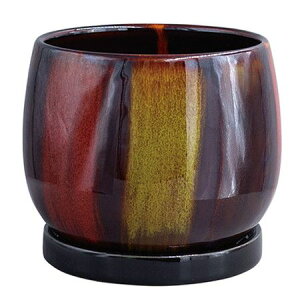 Aؔ  O[|bg/mN^[i XgCv 11cm/HO-4411STy07z K[fjOE|pi t[|bg EZ~bN