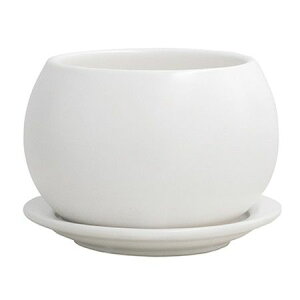 yΖӃZ[zAؔ  O[|bg/IXg V[{[ }bgzCg 13.5cm/HO-6112MWy07z[4] K[fjOE|pi t[|bg EZ~bN