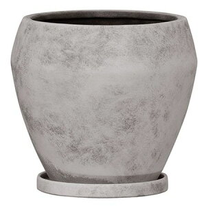 Aؔ  O[|bg/Cu Eh O[EHbV 19cm/YJ-2319GYy07z[4] K[fjOE|pi t[|bg EZ~bN