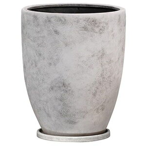 Aؔ  O[|bg/Cu g[ O[EHbV 21cm/YJ-2421GYy07z[4] K[fjOE|pi t[|bg EZ~bN