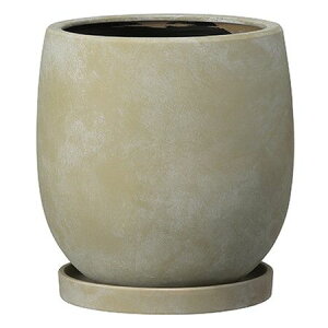 Aؔ  O[|bg/AC GbO CG[ 21cm/YJ-1121YEy07z[4] K[fjOE|pi t[|bg EZ~bN