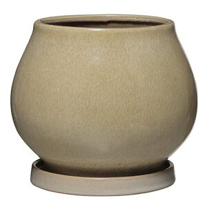 Aؔ O[|bg/I[ pXeCG[ 26.5cm/HO-3727PYy07z K[fjOE|pi t[|bg EZ~bN