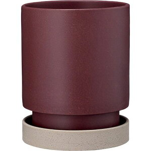 Aؔ  O[|bg/phbN g[ {h[ 22cm/HO-2322BOy07z[2] K[fjOE|pi t[|bg EZ~bN