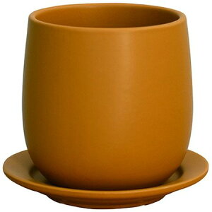 Aؔ  O[|bg/tXg {[ CG[ 13cm/HO-2913YEy07z[6] K[fjOE|pi t[|bg EZ~bN