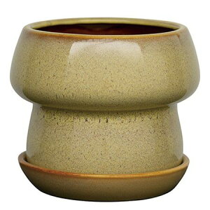 Aؔ  O[|bg/}bV CG[ 19cm/CP-3219YEy08z[4] K[fjOE|pi t[|bg EZ~bN