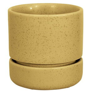 Aؔ  O[|bg/tFl CG[ 9.5cm/HO-3110YEy07z[8] K[fjOE|pi t[|bg EZ~bN