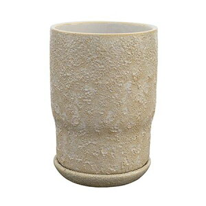 yΖӃZ[zAؔ  O[|bg/oi g[ N[ 14cm/CP-2613CRy07z K[fjOE|pi t[|bg EZ~bN