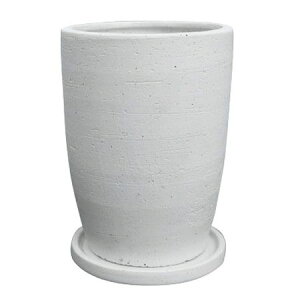 Aؔ  O[|bg/GbW g[ zCg 16cm/YJ-0516WHy07z[4] K[fjOE|pi t[|bg EZ~bN