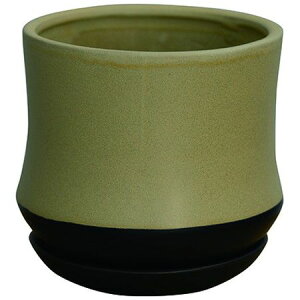 O[|bg/X|[ CG[ 15cm/CP-2815YEy07z[6] K[fjOE|pi AؔEt[|bg EZ~bN