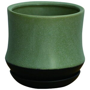 �y�Ζ����ӃZ�[���z�A�ؔ� ������� �O���[���|�b�g/�X�|�[�� �~���g 18cm/CP-2818MT�y07�z[4��] �K�[�f�j���O�E���|�p�i �t�����[�|�b�g ����E�Z���~�b�N��