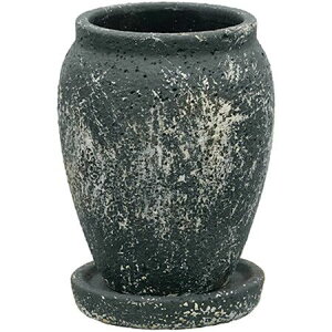 Aؔ  O[|bg/u g[W[ ubN 11cm/NC-220106BGy07z[6] K[fjOE|pi t[|bg Zg