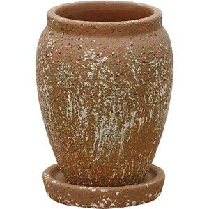 O[|bg/u g[W[ e 11cm/NC-220106RGy07z[6] K[fjOE|pi AؔEt[|bg Zg