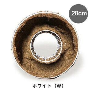 O[|bg/Rei[X zCg 28cm/GU-CG16-094Wy08z K[fjOE|pi v^[ [X^v^[