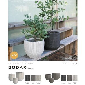 O[|bg/{_[ {[ O[ 36/28/23cm/EP-2406GYy08z K[fjOE|pi AؔEt[|bg Zg