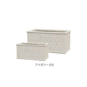 O[|bg/bJ v^[ AC{[ 38/28cm/EP-2310IVy08z K[fjOE|pi v^[ Zg
